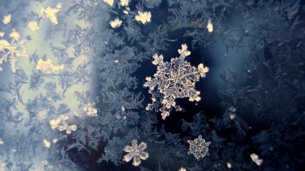 Winter snowflakes wallpaper