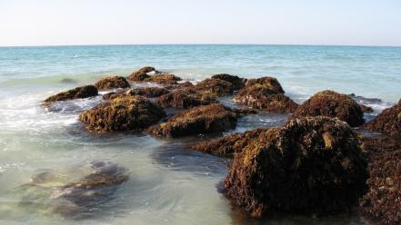Beach waves rocks dubai persian gulf sea wallpaper