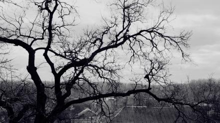 Black and white branches roof gloomy wallpaper