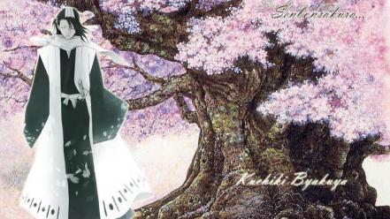 Cherry blossoms bleach kuchiki byakuya flowered trees wallpaper