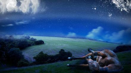 Landscapes night stars grass horses ranch skies stable wallpaper