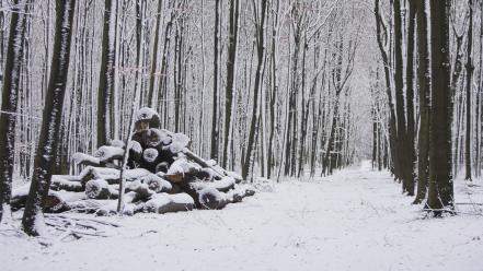 Snow trees landscapes logs wallpaper