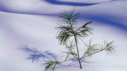 Blue snow white snowy mountains wallpaper