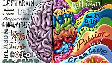 Brain code dreams imagination artwork logic colors wallpaper