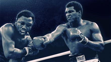 Fight boxing muhammad ali boxers boxer gloves wallpaper