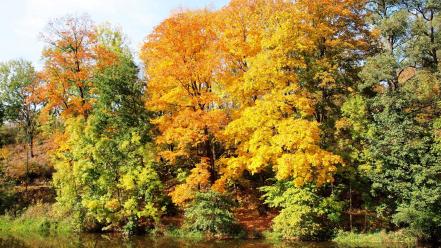 Landscapes nature rivers autumn wallpaper