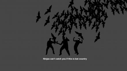 Meme ninjas cant catch you if country bats wallpaper