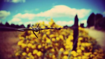 Minimalistic fences barbed wire wallpaper