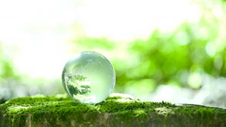 Nature balls crystals moss wallpaper