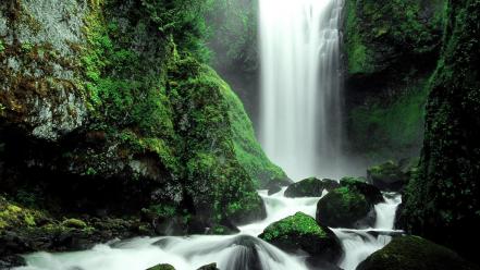 Nature forest national moss waterfalls washington creek wallpaper