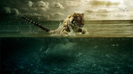 Water abstract tigers leap feline split-view wallpaper