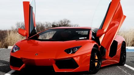 Cars lamborghini wallpaper