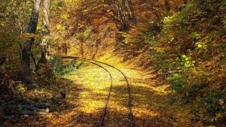 Landscapes nature leaf wood turn railway wallpaper