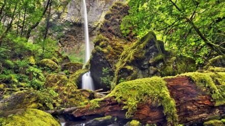 Landscapes nature moss oregon waterfalls columbia wallpaper