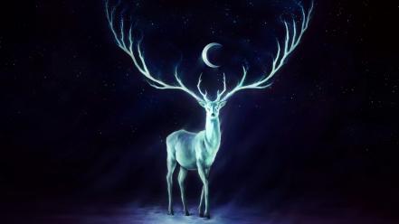 Night stars animals moon glowing artwork reindeer crescent wallpaper