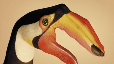 Hands body painting toucans wallpaper