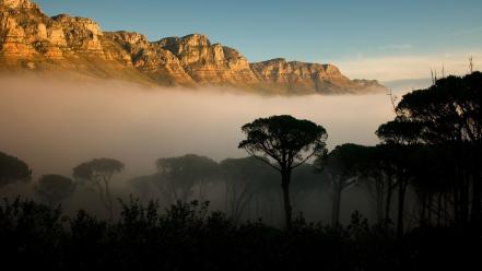 Mountains clouds rainforest wallpaper