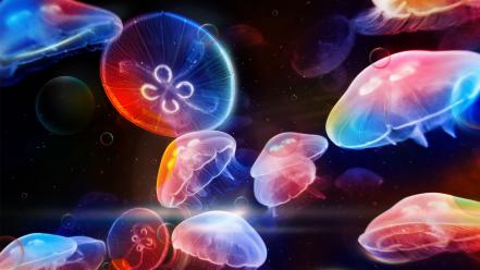 Multicolor jellyfish artwork desktopography wallpaper