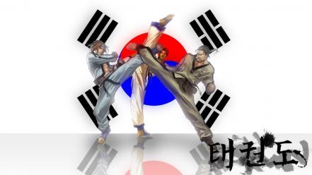 Tekken korea taekwondo hwoarang wallpaper