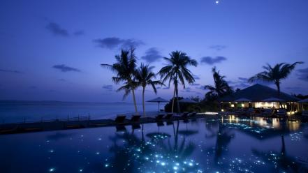 Water beach night lights stars palm trees wallpaper