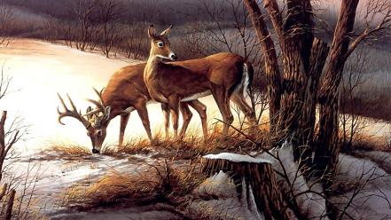 Animals deer artwork wallpaper