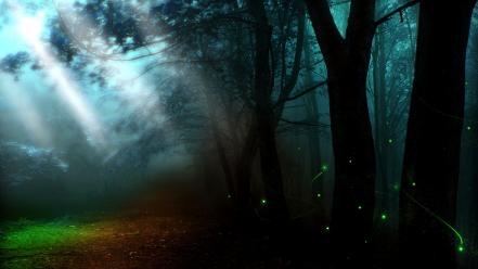 Nature trees dark forest shadows mysterious wallpaper