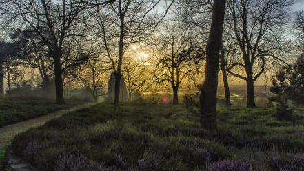 Sunset trees grass france park wallpaper