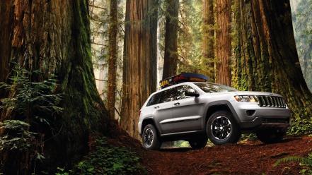 Forest cars jeep grand cherokee wallpaper