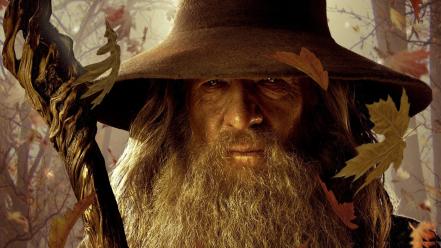 Gandalf wizards the hobbit ian mckellen wallpaper