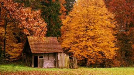 Landscapes autumn (season) forest cottage wallpaper