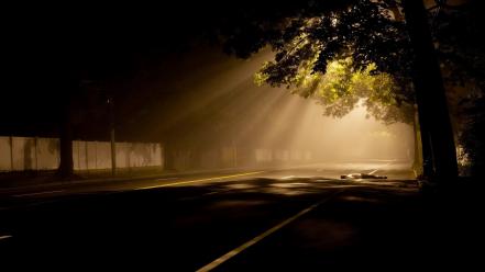 Light trees dark roads reflections wallpaper