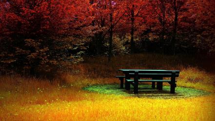 Nature trees leaves grass bench hdr photography autumn wallpaper
