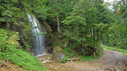 Nature trees waterfalls wallpaper