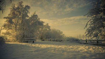 Nature winter snow trees shadows bench hoarfrost wallpaper