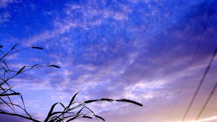 Sunset clouds grass skyscapes skies wallpaper