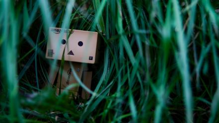 Green lonely danboard boxes wallpaper
