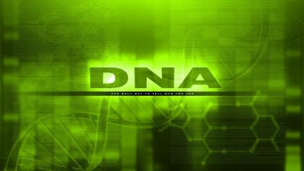 Green text dna computer graphics wallpaper