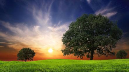 Landscapes nature trees grass wind evening wallpaper
