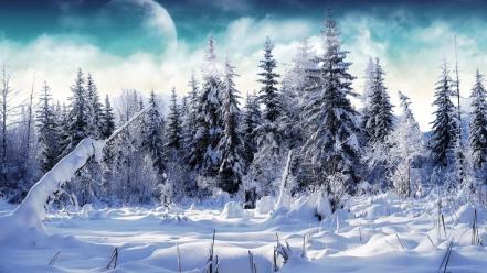 Landscapes winter trees moon wallpaper