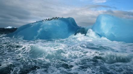 Ocean iceberg wallpaper