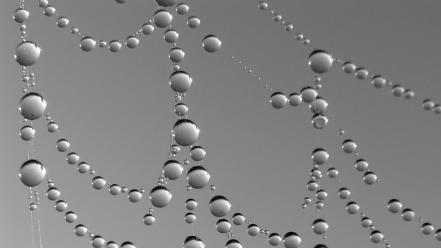 Water drop artwork condensation texures drops wallpaper
