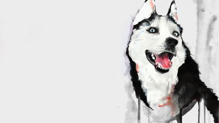 Animals husky wolves wallpaper