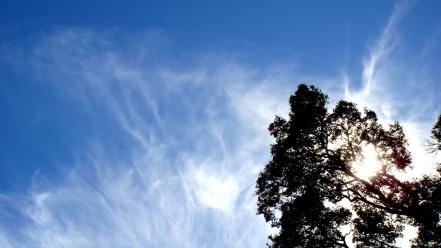 Clouds nature trees sunlight skyscapes blue skies wallpaper