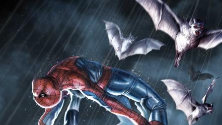 Comics spider-man marvel wallpaper