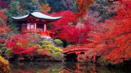 Daigo-ji temple in autumn wallpaper