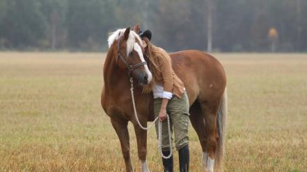 Fields horses cow girl wallpaper