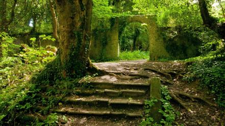 Green nature jungle forest stairways overgrowth arch wallpaper