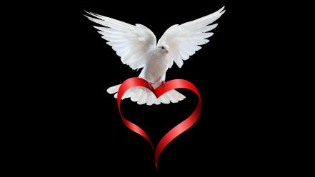 Hearts white dove wallpaper