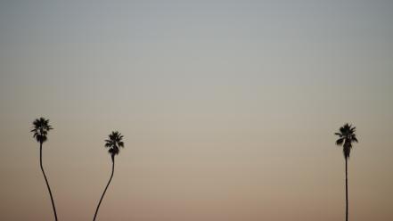 Minimalistic palm trees pastel sillhouette hi res wallpaper