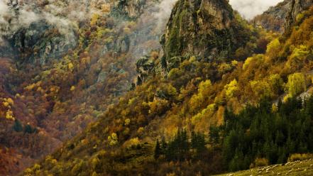 Mountains landscapes nature forest sheep national geographic wallpaper